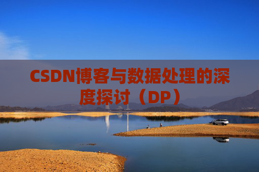 CSDN博客与数据处理的深度探讨（DP）